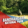 Bandhavgarh National Park Tourism Guide