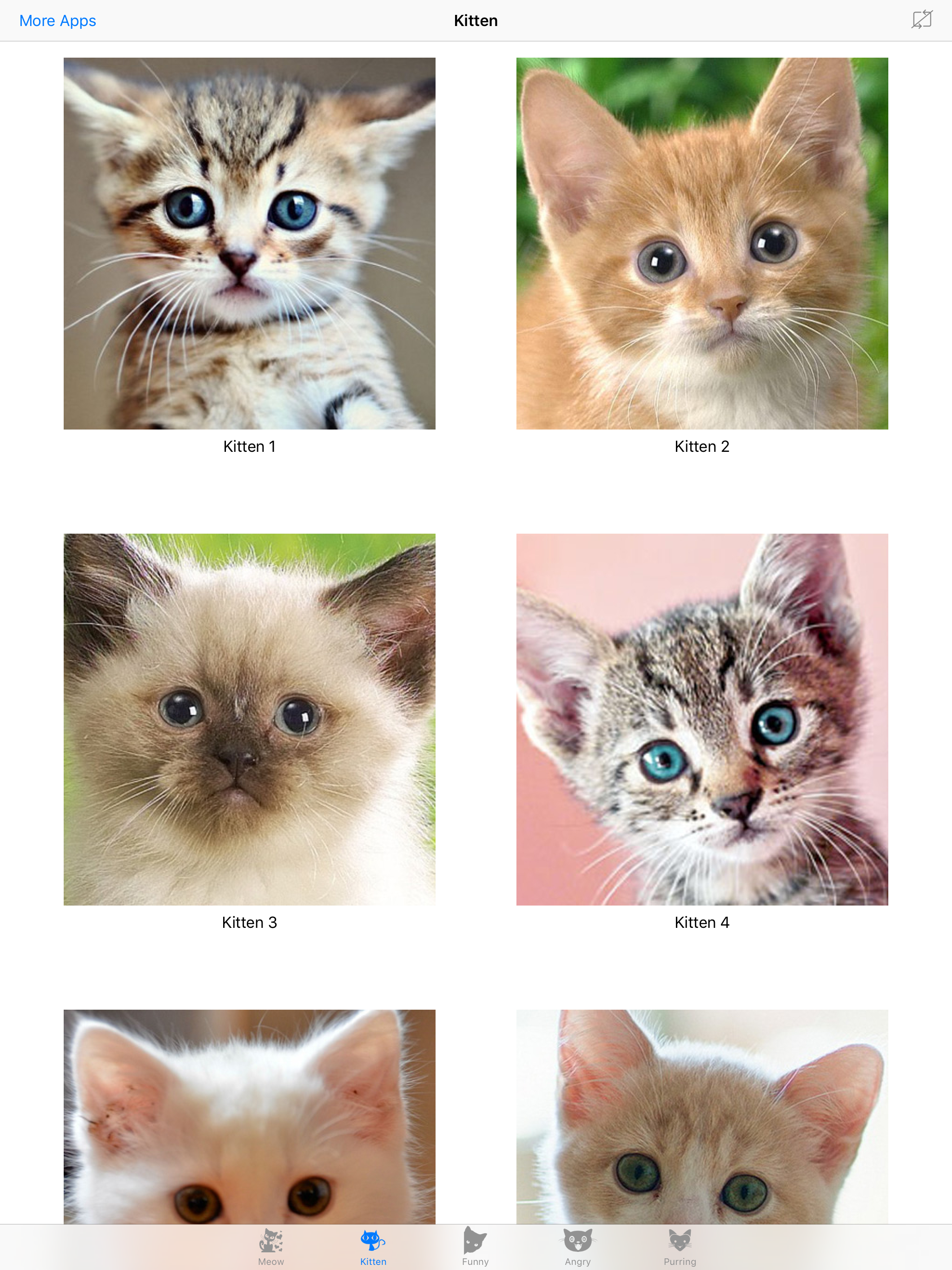 Cat Meow : Prank and troll your pets