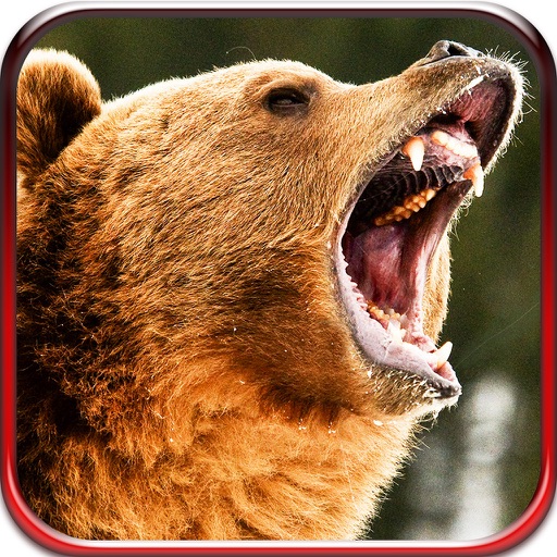 2016 Bear Hunter Pro Challenge Pro - African Wilderness Deadly Black Bear Hunting Sniper Season icon