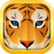 Jungle Law-An amazing puzzle game