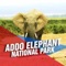 Addo Elephant National Park Tourism Guide