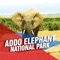 Addo Elephant National Park Tourism Guide