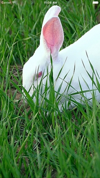 中国生态养殖门户网