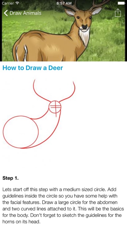 How To Draw Animals - 100% FREE