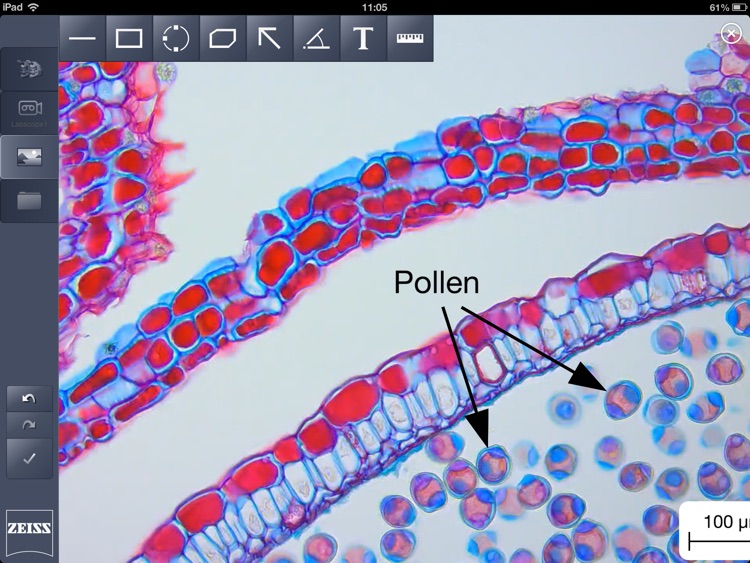 Labscope screenshot-3