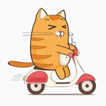 Download Kitty Cat – Cute Stickers for iMessage app