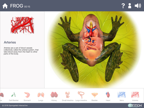 Build a Body: Biology Systems iPad app afbeelding 3