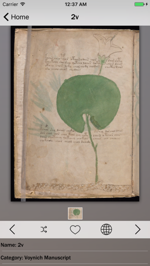 Voynich Manuscript Guide(圖4)-速報App