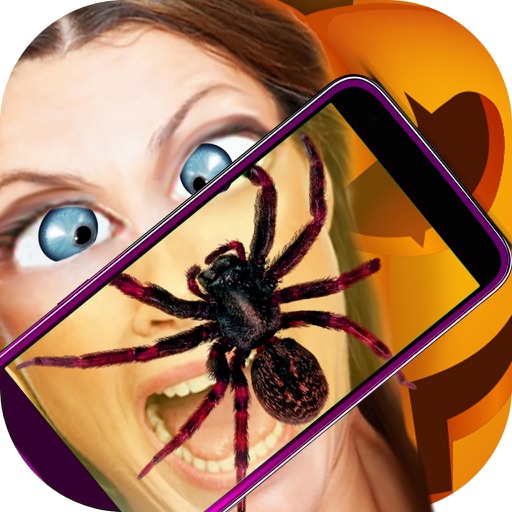 Spider Real Camera 3D Prank