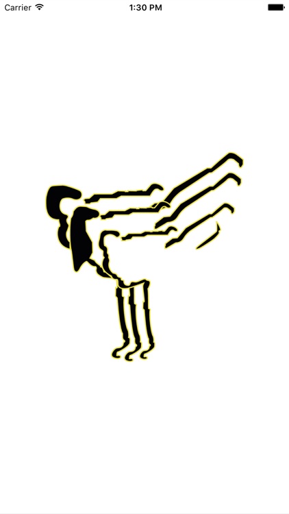 United Martial Arts Doral