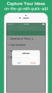 todo list - capture all you have to do iphone screenshot 2