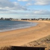 Driftwood of Elie