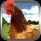 Crazy Chicken Simulator 3D - Go Wild In The Real Farm Simulation Game