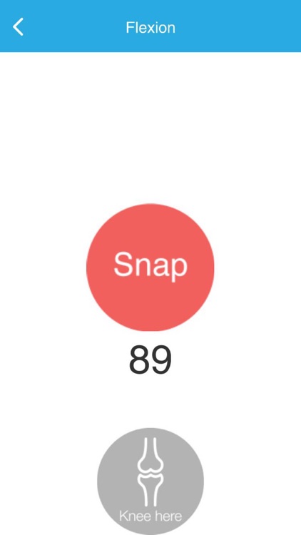 Orthophysical screenshot-3