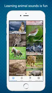 animal sounds - learn & play in a fun way iphone screenshot 1