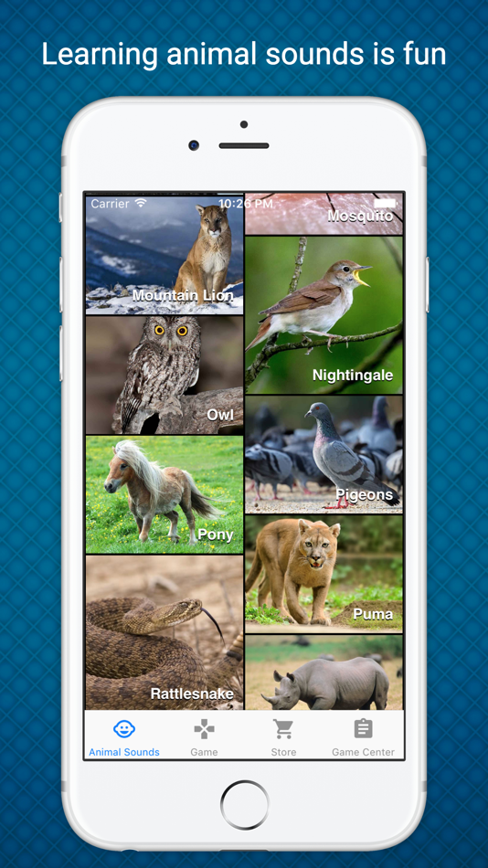 Animal Sounds - Learn & Play in a Fun Way - 1.0.0 - (iOS)