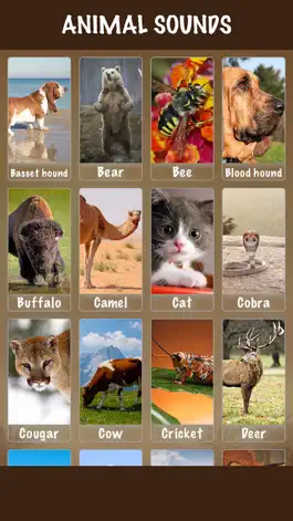 Game screenshot Animal Soundx mod apk