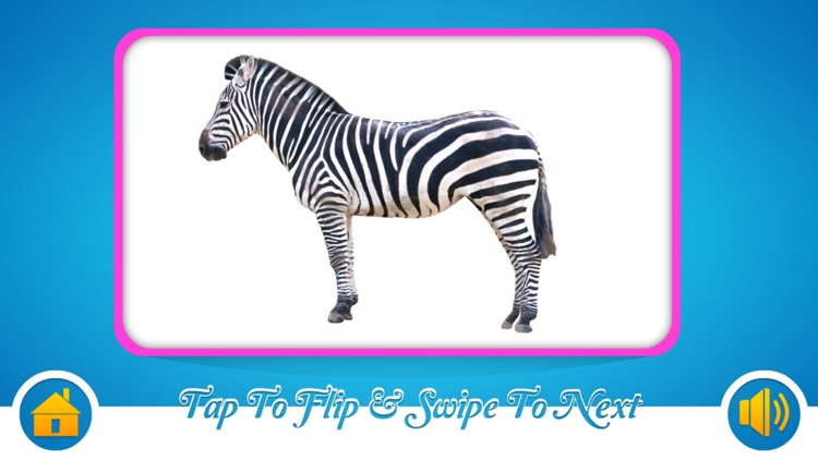 Flash Cards - Alphabet