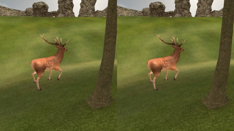 VR Forest Animal Adventure