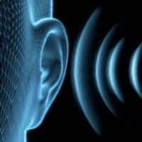 L´oreille musicale de base pour PC