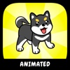 Puppy Animated Stickers