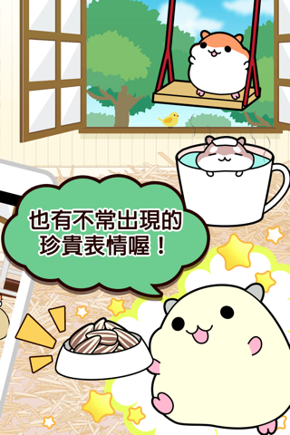 Hamster Collection◆FreeBasic, pet breeding game! screenshot 2