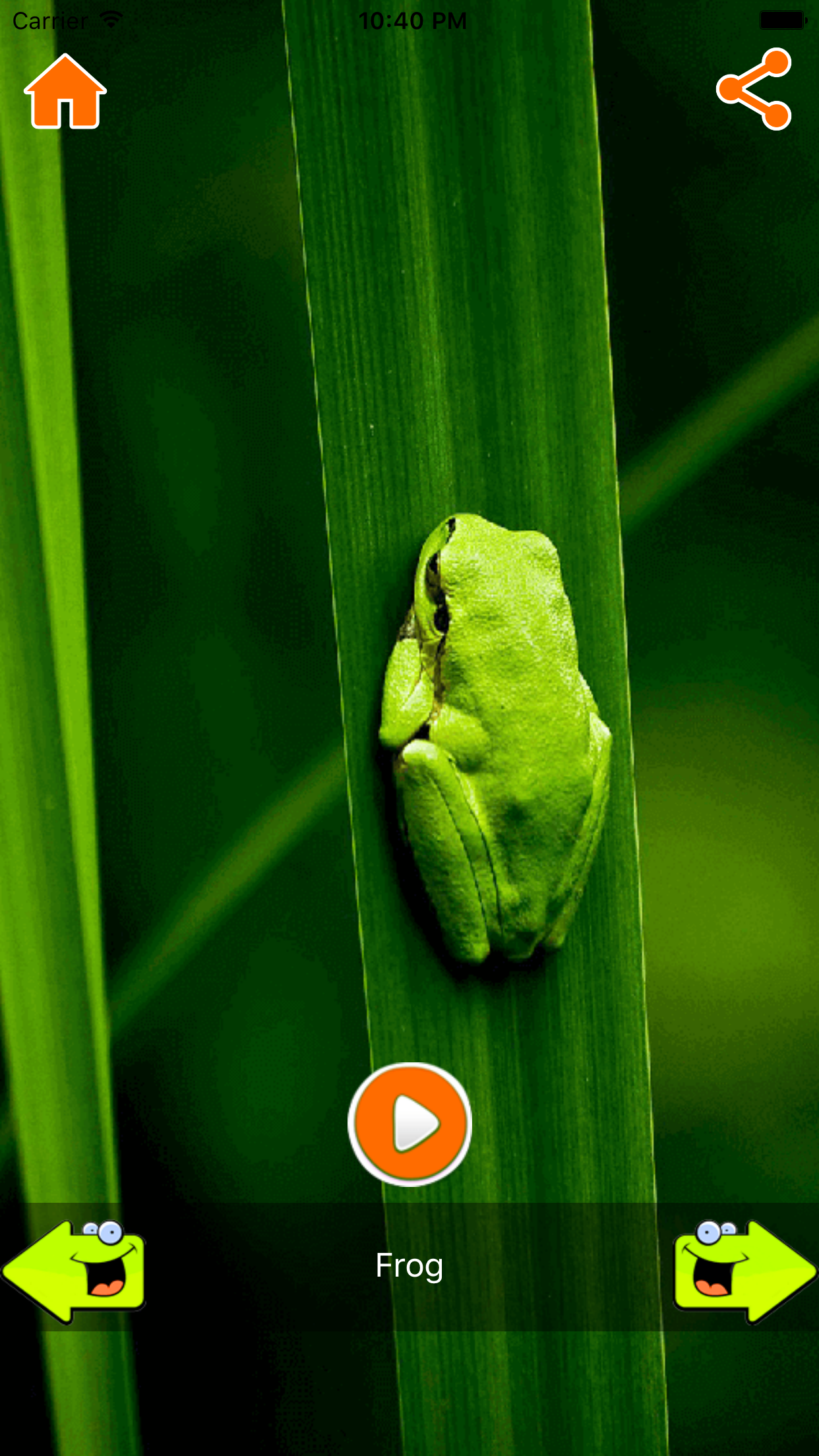 Animal Sounds Free screenshot 5