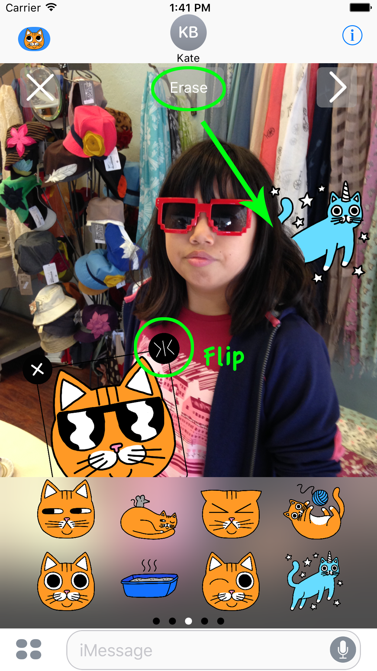 Cat Stickers for Messages & Photos