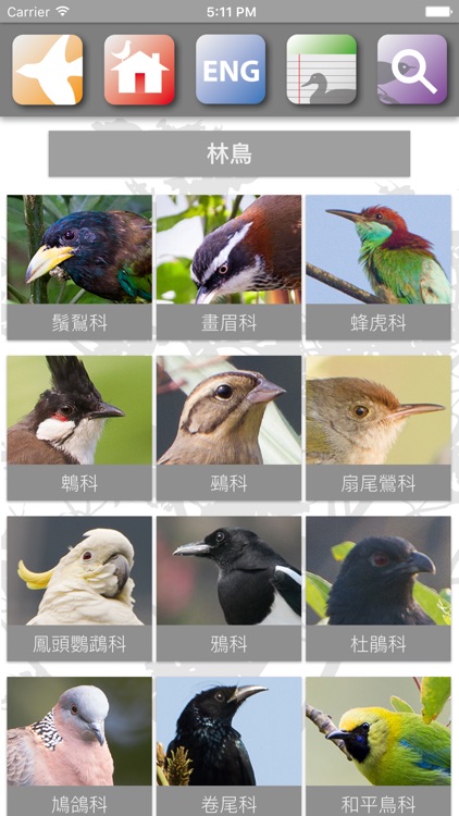 HKBirds