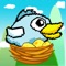 Bird to Nest HD