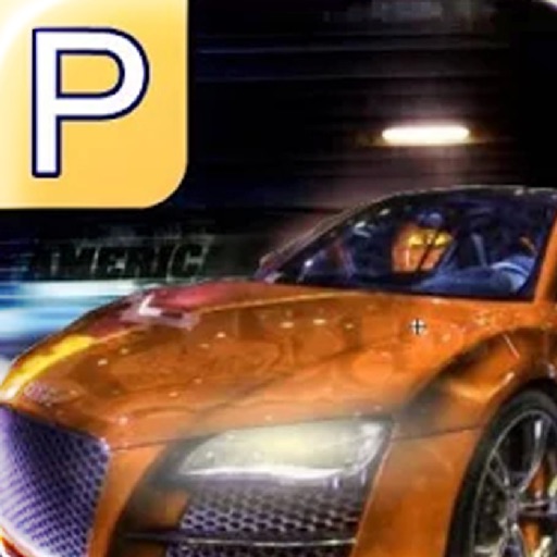 Real Parking Deluxe icon