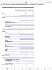 financial statements айпад изображения 1