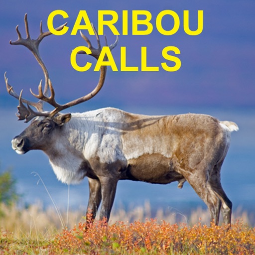 Caribou Calls for Big Game Hunting HD iOS App