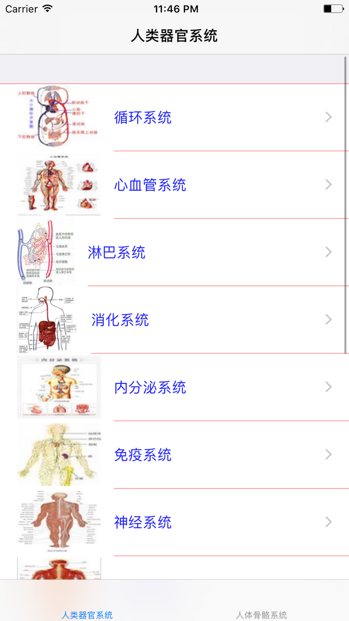 人类器官系统人体骨骼构造大全