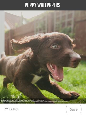 Screenshot #6 pour Puppy Wallpapers