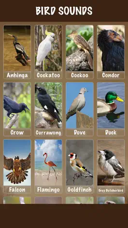 Game screenshot Bird Soundx mod apk