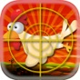 Chicken Hunt app download