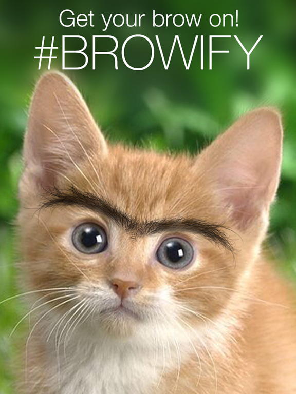 Browify - Eyebrow Photo Booth iPad screenshot 5 - Entertainment app