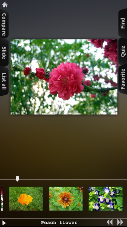 Flower Collection HD screenshot-4