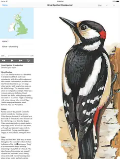EGuide to British Birds iPad image 2