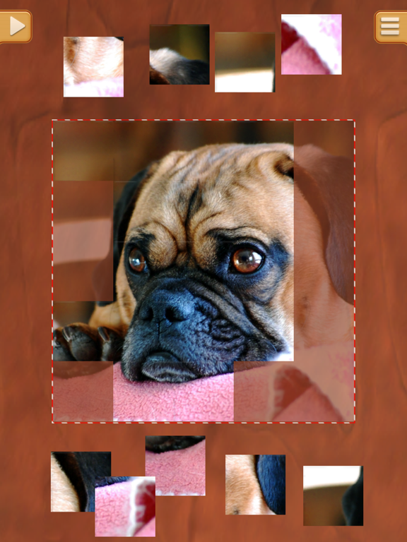 Cute Puppies Jigsaw Puzzles - Real Puzzle Games iPad screenshot