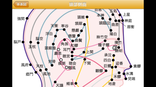 ツボ暗記カードのスクリーンショット - 5