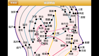 ツボ暗記カードスクリーンショット