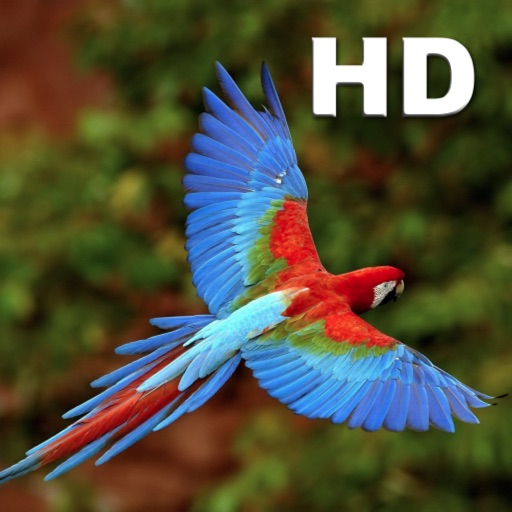 Parrot Catalog HD icon