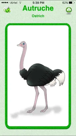 Game screenshot Flashcards French Lesson apk