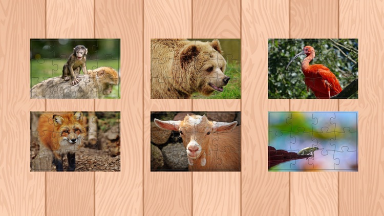 Animal Jigsaw Puzzle For kids and Adults