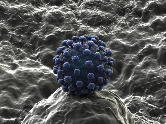 Hepatitis C - VR app screenshot 2