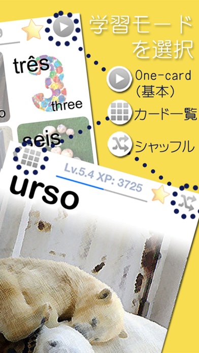 LingoCardsブラジルポルトガル語学習で勉強しよう(無料版)のおすすめ画像4