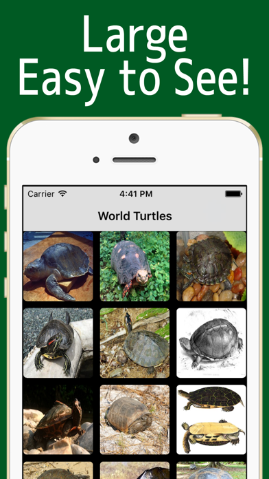 Screenshot #2 pour World Turtles!