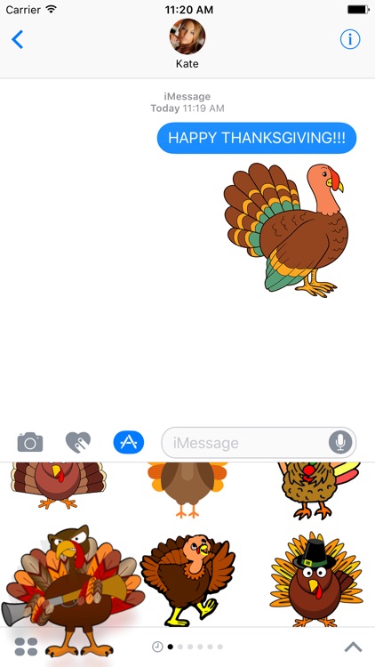 Turkey - Thanksgiving stickers